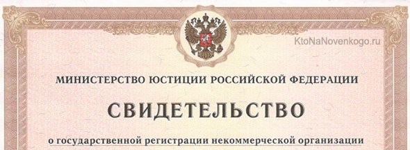 Создание и регистрация некоммерческой организации в России