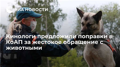 Развитие проблемы жестокости по отношению к животным в России