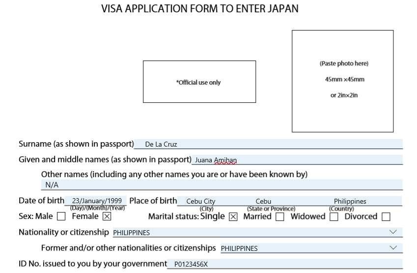 Подать визу в японию. Анкета для японской визы. Пример визовой анкеты Япония. Пример анкеты на визу в Японию. Заполнение анкеты на японскую визу.