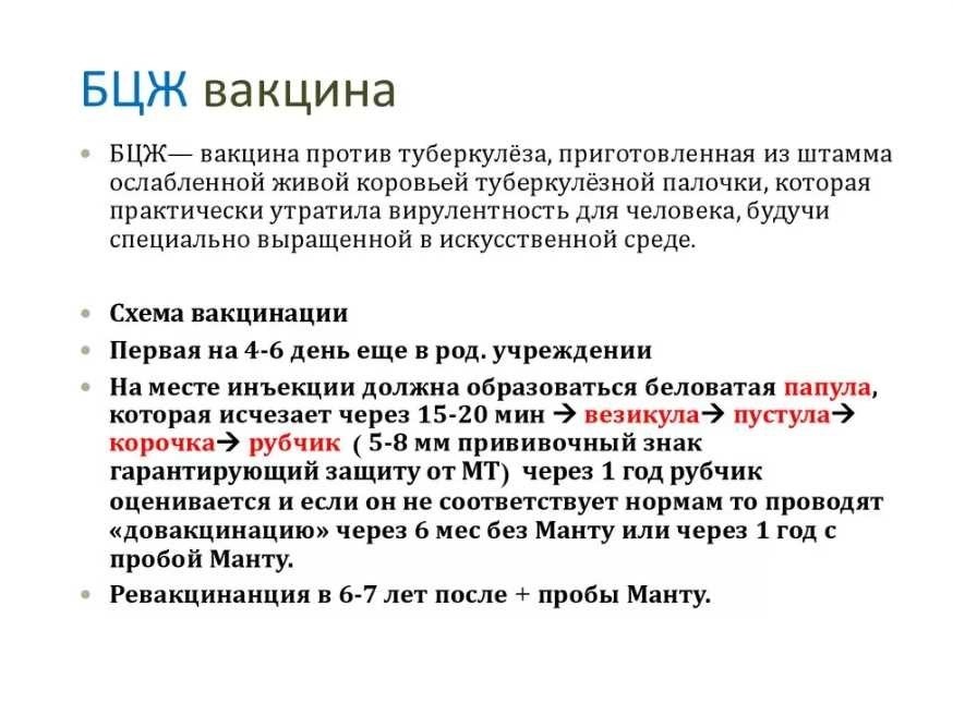 Бцж как должна выглядеть